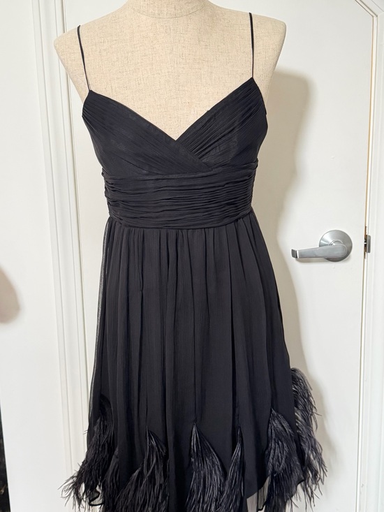 BCBGMaxAzria Dresses & Skirts - BCBGMaxAzria Black Dress with Feathers